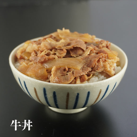 丼の具 10種18食セット　【2520-4050】　特別20