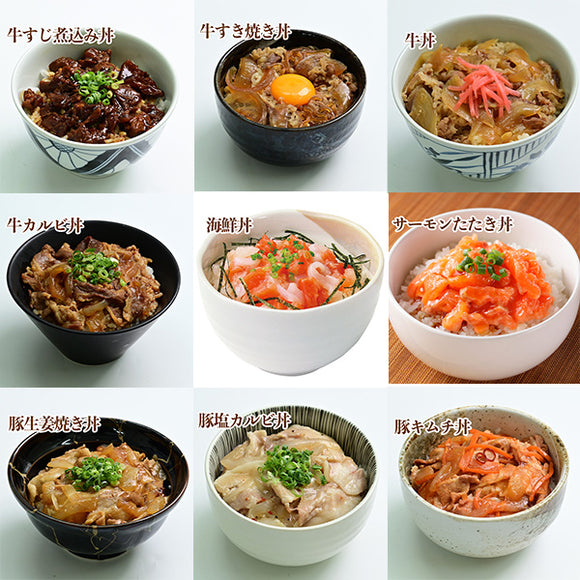 丼の具 9種13食セット　【2520-0037】